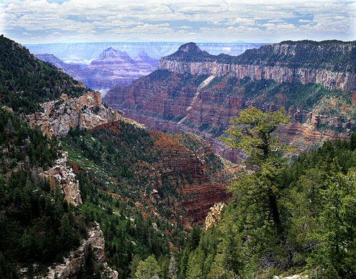 North Rim Grand Canyon National Park Arizona - Grand Canyon photo
