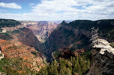 North Rim Grand Canyon National Park Arizona