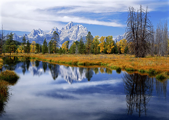 Beaver Pond Tetons Range Autumn Grand Teton National Park Wyoming photo by David Whitten