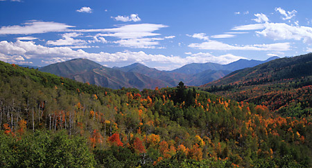 Deer Creek Canyon Autumn Wasatch Mountains Utah