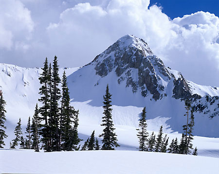 The Pfeifferhorn Maybird Gulch Wasatch Mountains Utah