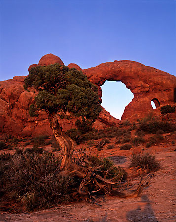 Turret Arch Arches National Park photograph Utah