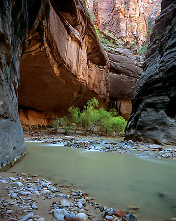 The Narrows Virgin River Zion National Park photo Utah photograph by David Whitten