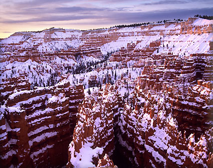 Sunset Point Bryce Canyon National Park photograph by David Whitten