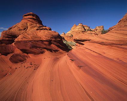 Coyote Buttes Vermillion Cliffs Wilderness Utah photograph by David Whitten