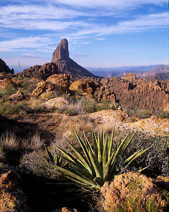Agave and Weaver's Needle Superstition Mountains Arizona Superstition Wilderness