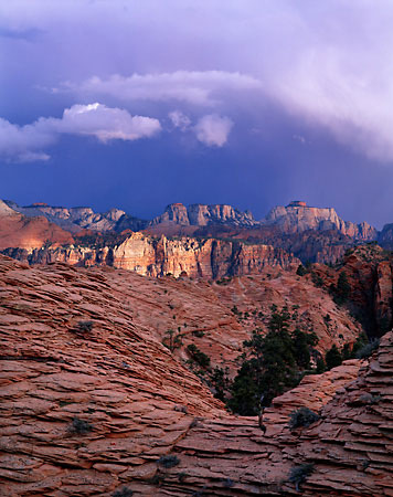 Zion National Park photography by David Whitten - Utah