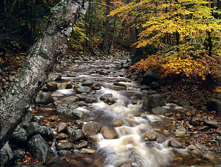 Waterville Valley New Hampshire Autumn Forest Mad River