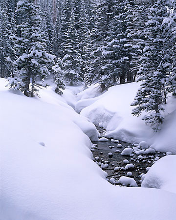 Red Pine Creek Snowy Stream Wasatch Mountains, Utah
