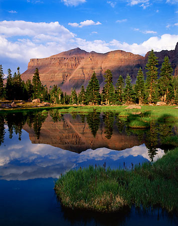 High Uintas Wilderness Uinta Mountains photographer Utah photograph by David Whitten