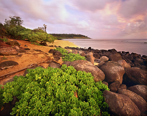  Photograph Aliomanu Beach Kauai Hawaii photography