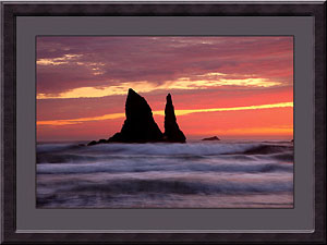 Oregon Coast Photographs - Photographer David Whitten