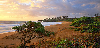 photographer David Whitten Photographs of Kauai, Hawaii - landscape photography