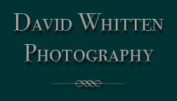 David Whitten Photography